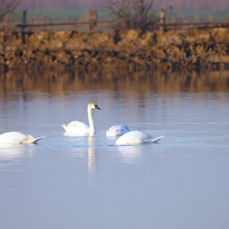 Apartamento Aurora *