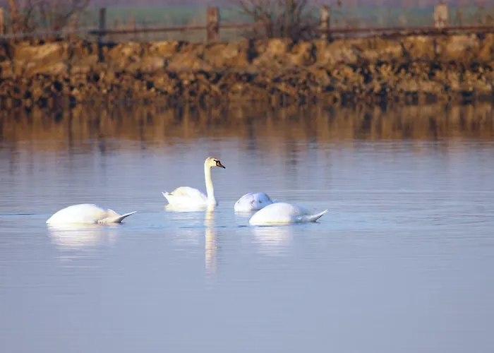 アパート Aurora *